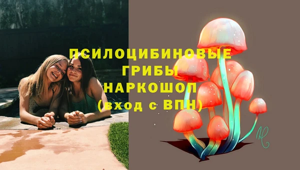 тгк Навашино