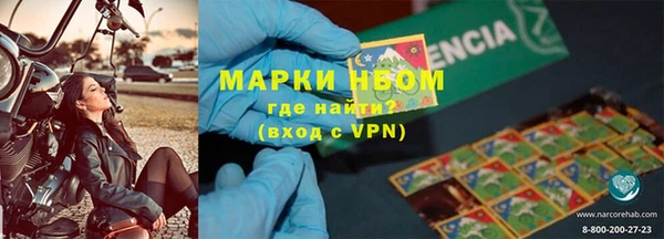 стафф Надым